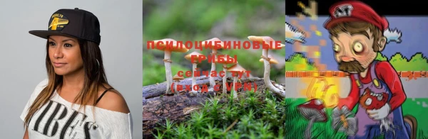 дживик Армянск