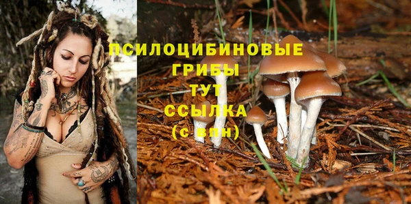 соль курить ск Аркадак