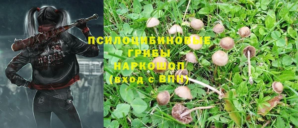 дживик Армянск